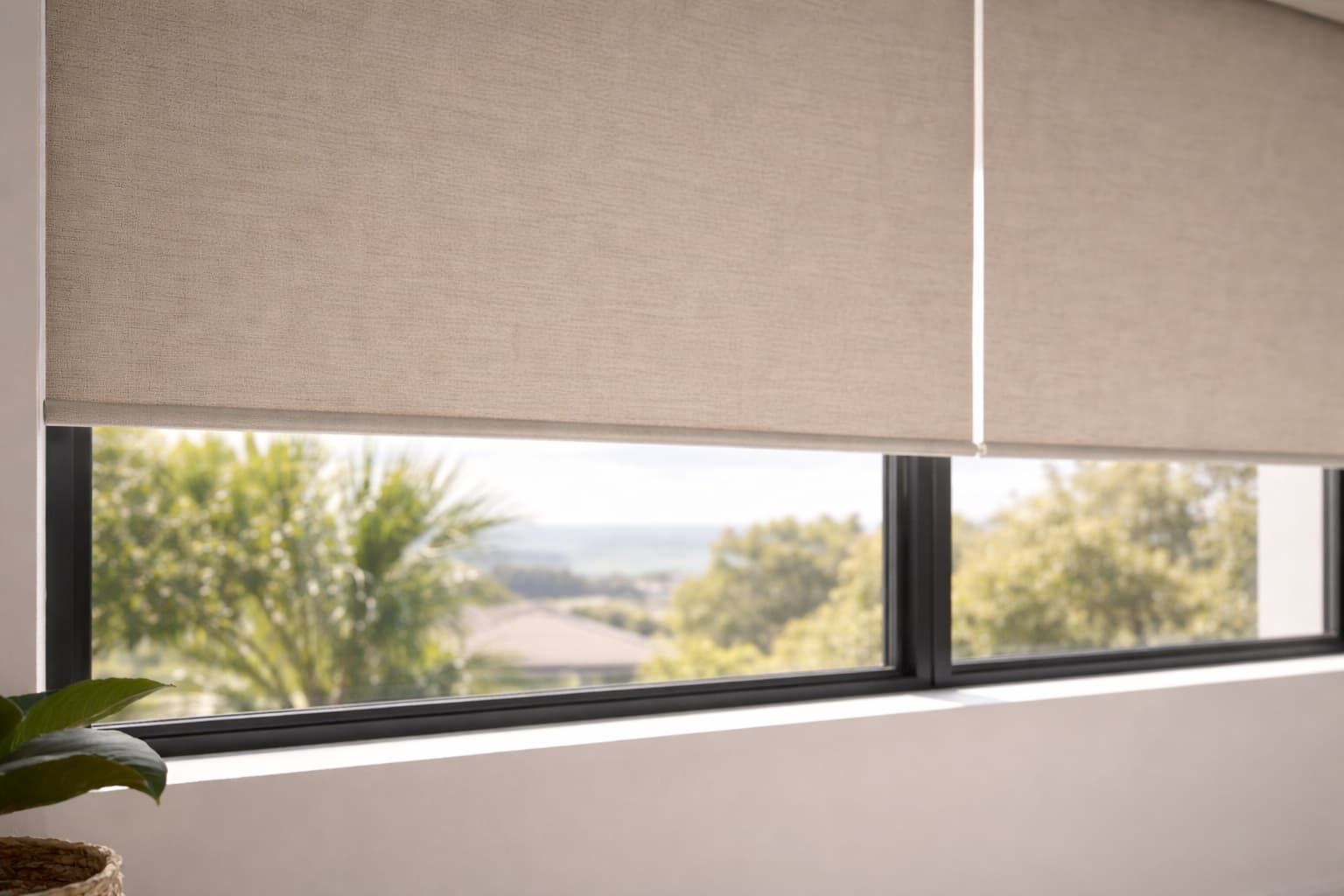 Roller blinds close up in Wollongong