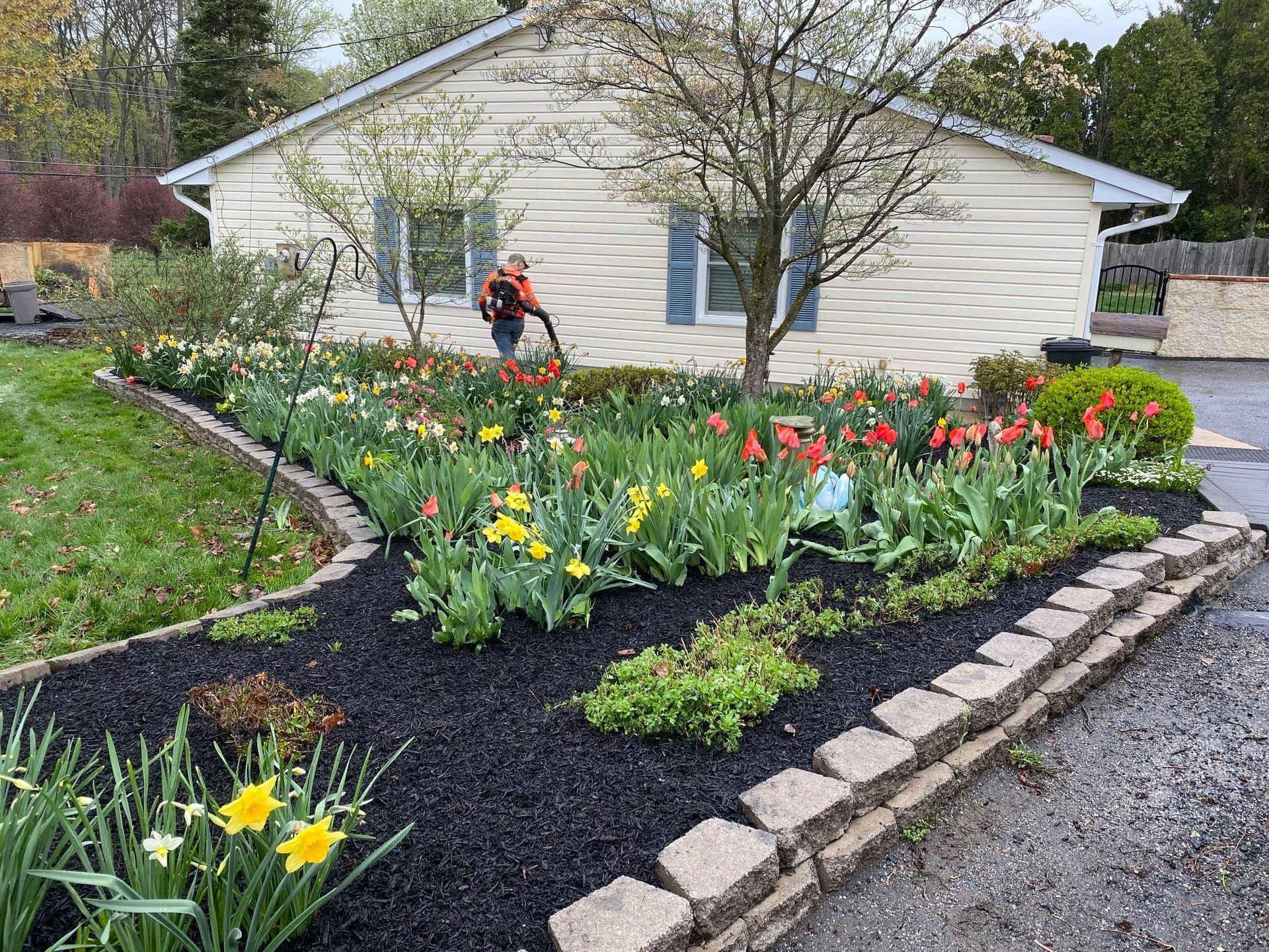 A woman is working in a garden in front of a house.