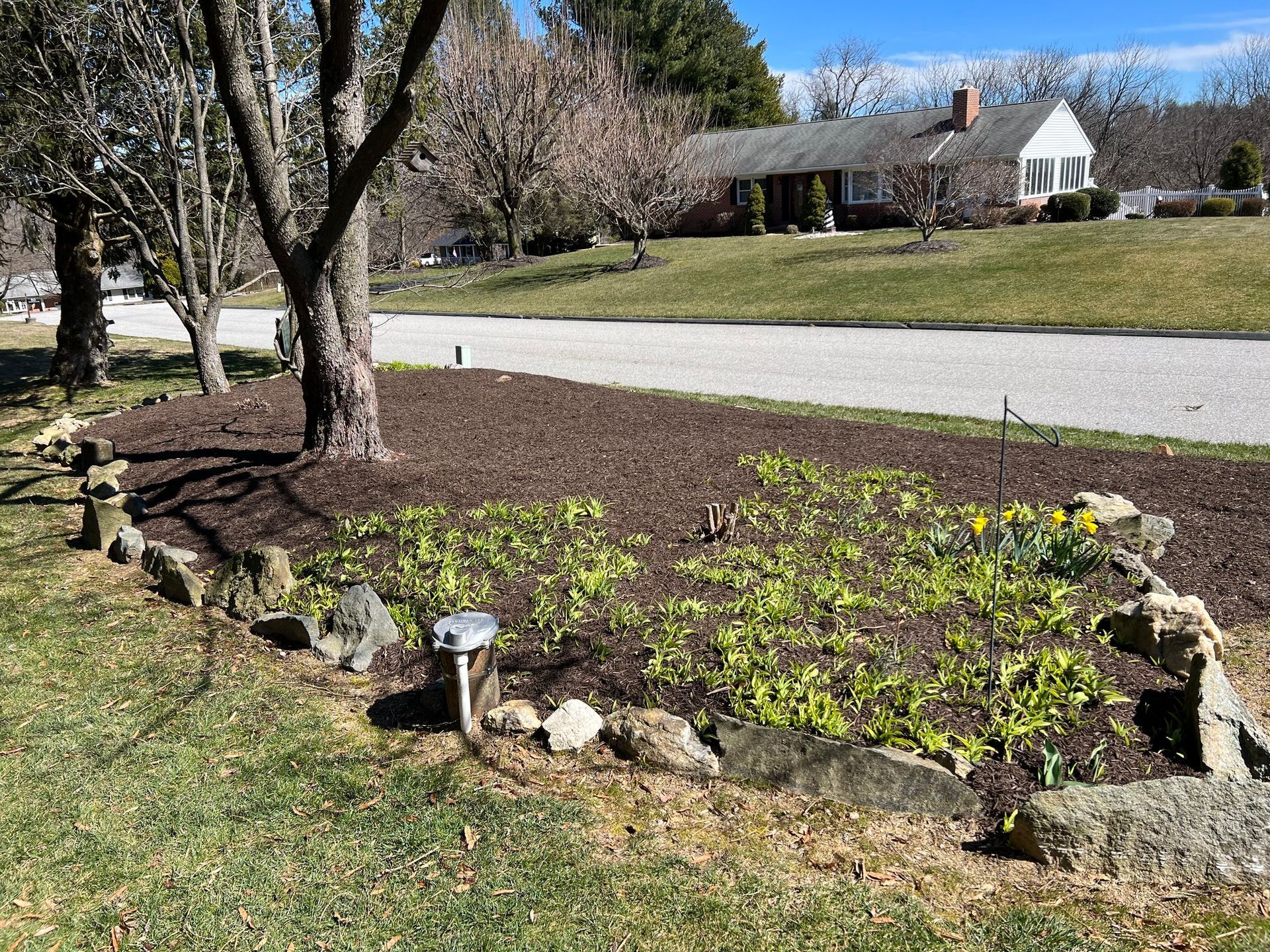 There is a house in the background and a garden in the foreground.
