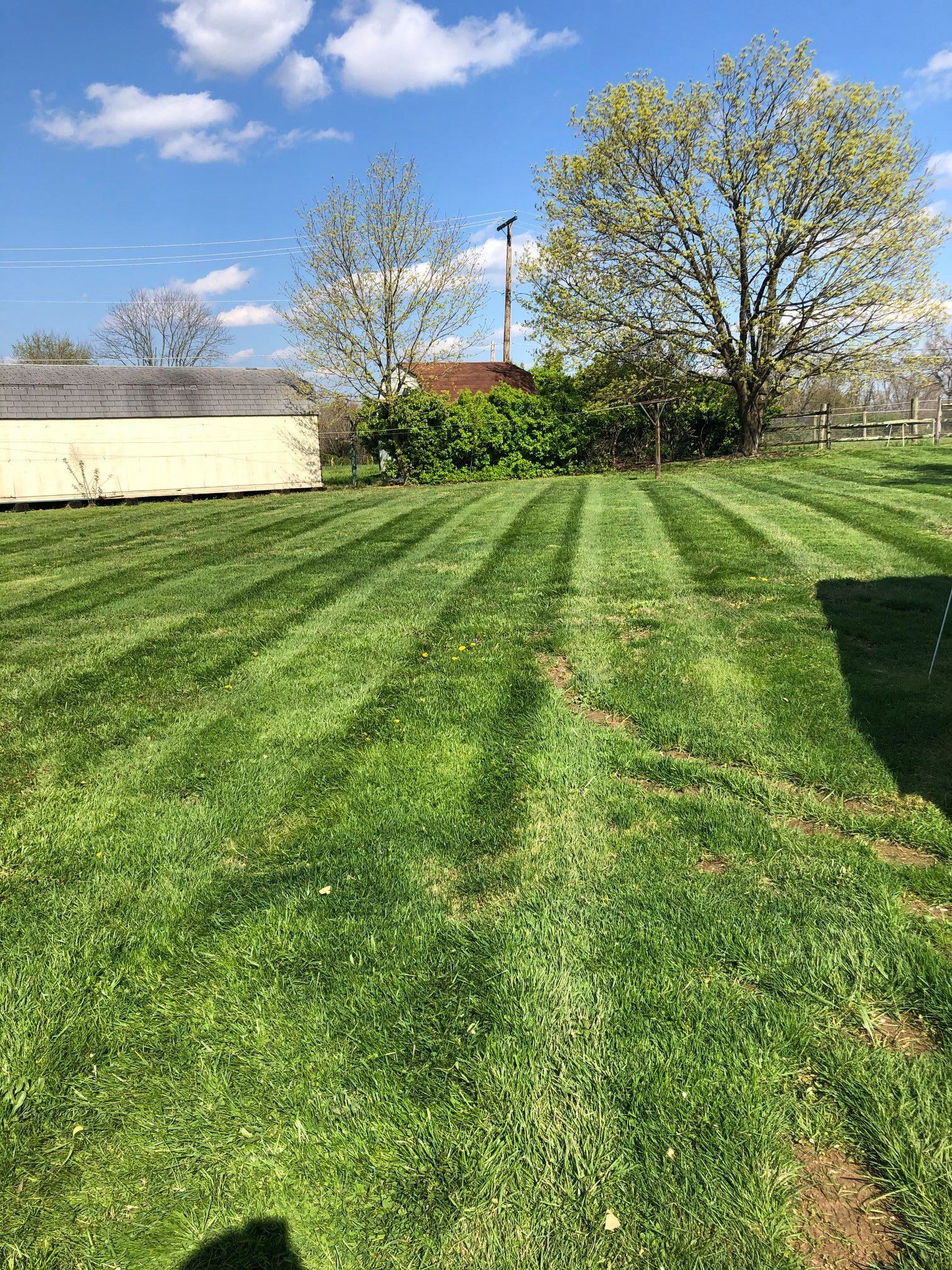 A lush green lawn is being mowed on a sunny day.