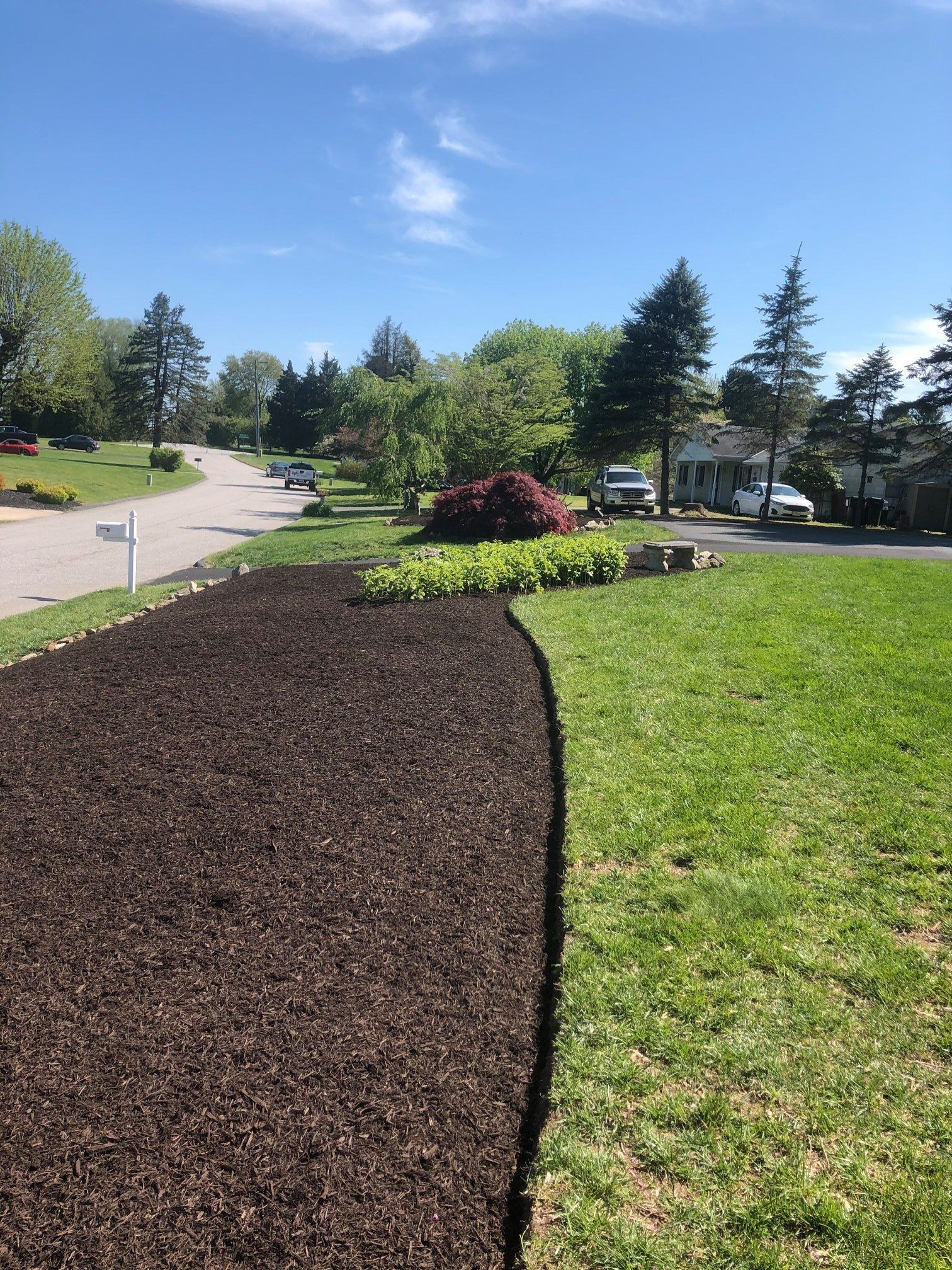 A lawn with a lot of mulch on it and a road in the background.