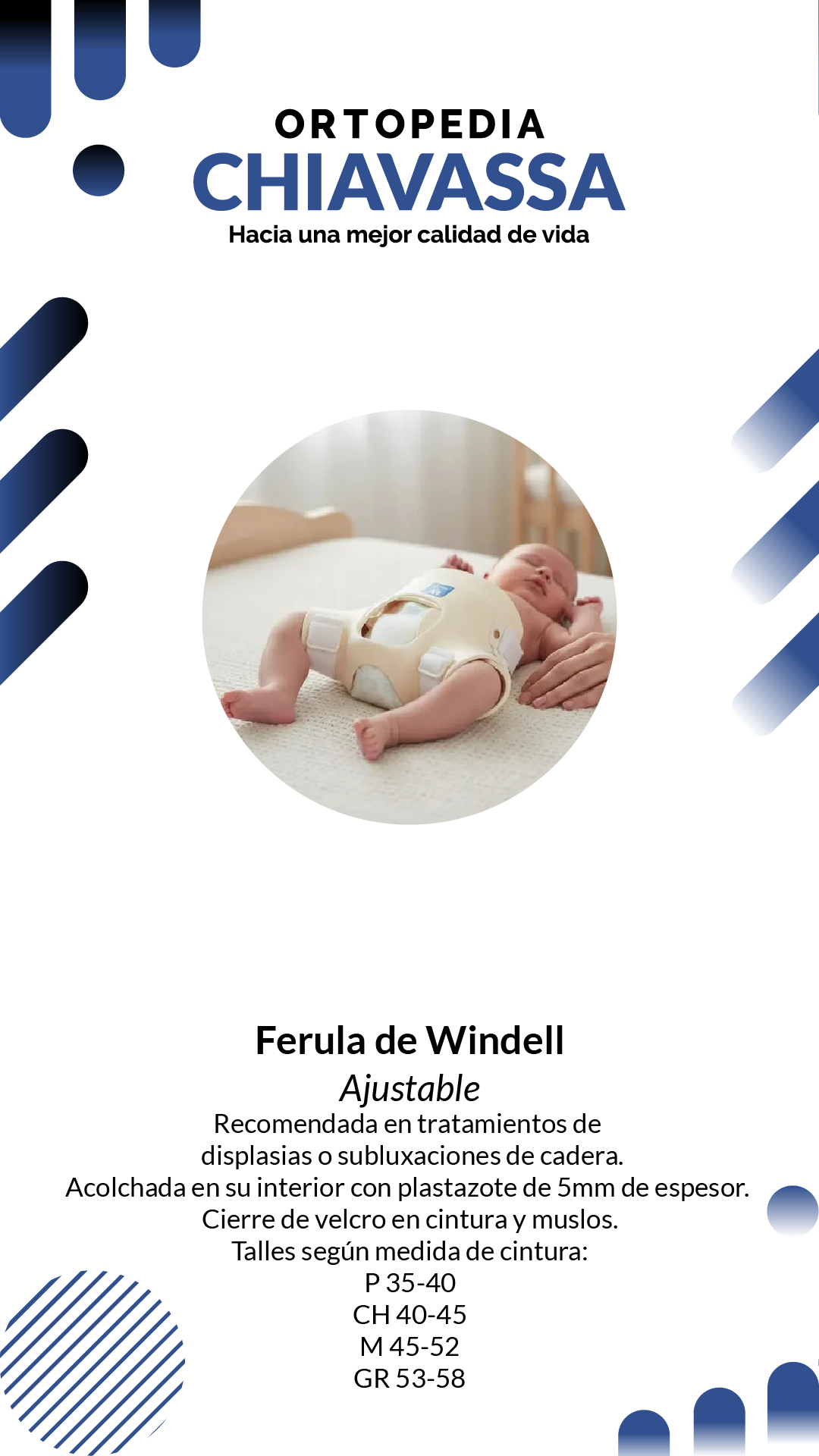 ferula windell
