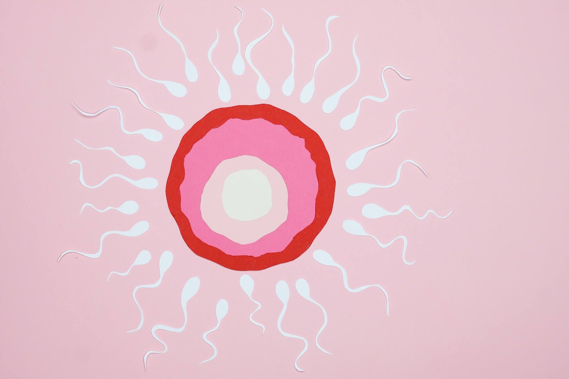 What do sperm look like