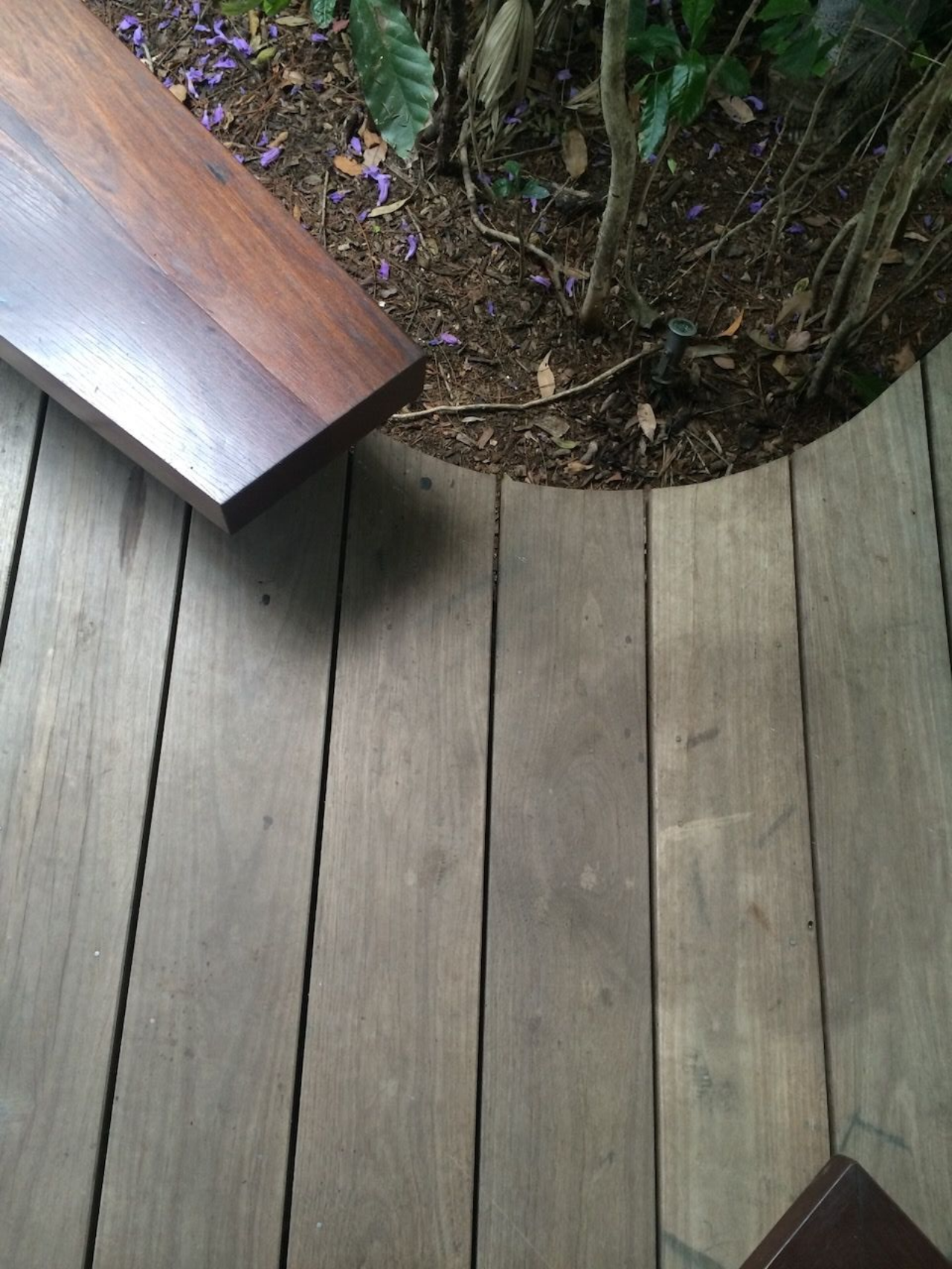 Wooden deck with curved edge and bench next to greenery.