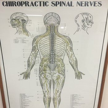 James in Lecture - Chiropractic Services in Pittsburgh, PA