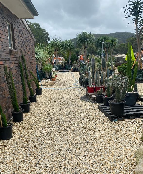 A gravel path leading to a house filled with potted plants.