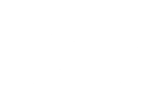 Berwyn Auto Spa logo