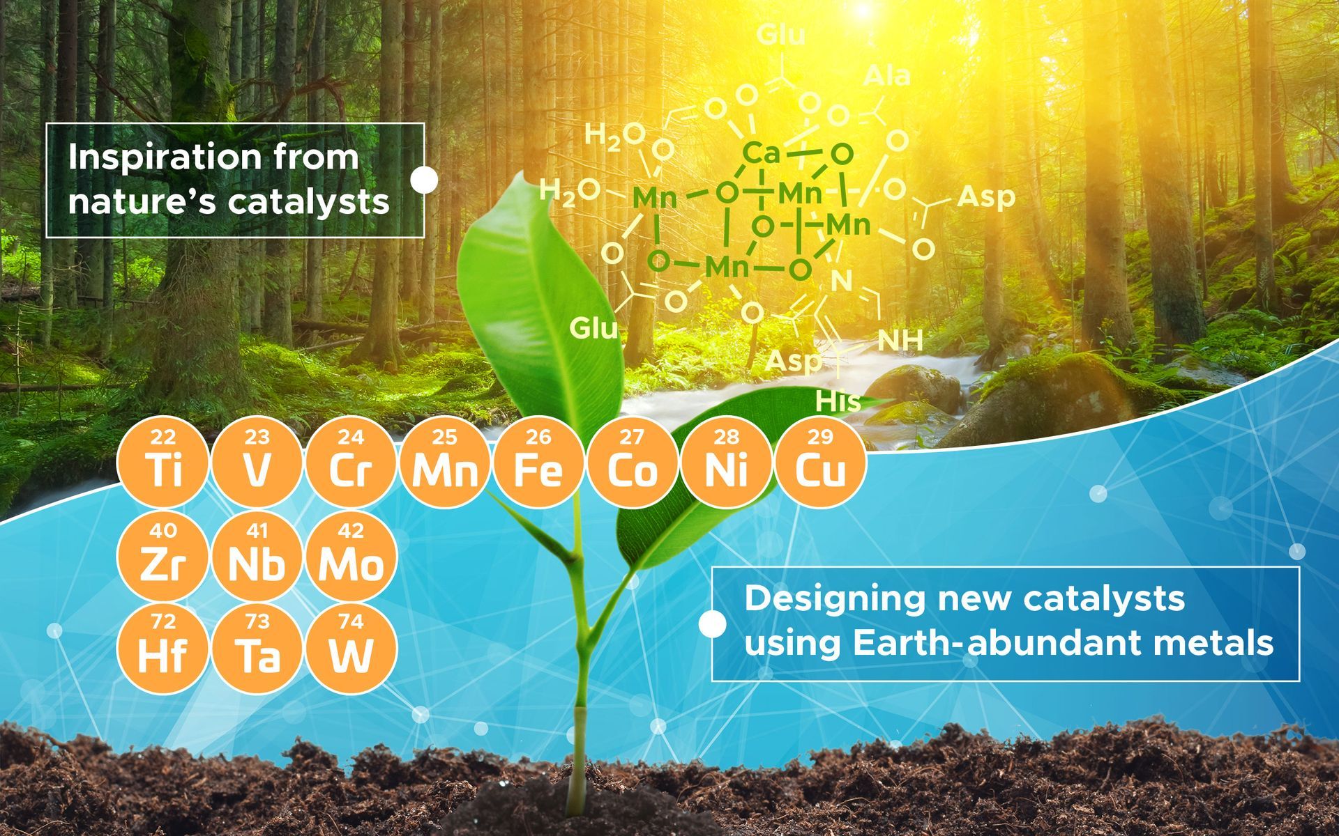 A sprout with a forest backdrop, chemical structure, and periodic table elements, related to catalyst research.