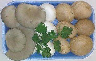 Funghi in un vassoio blu. Include funghi ostrica grigi, champignon bianchi e champignon rossi. Guarnire con prezzemolo.