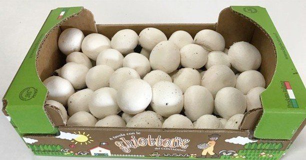 Scatola di funghi champignon bianchi.