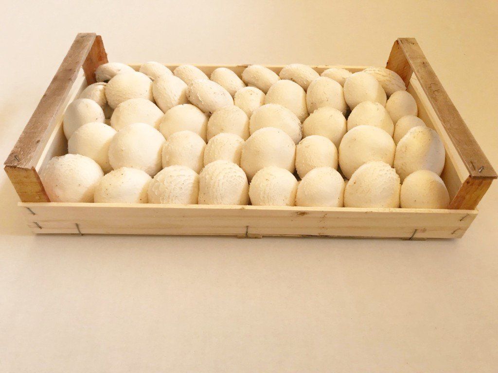 Funghi bianchi in una cassa di legno su una superficie di colore chiaro.