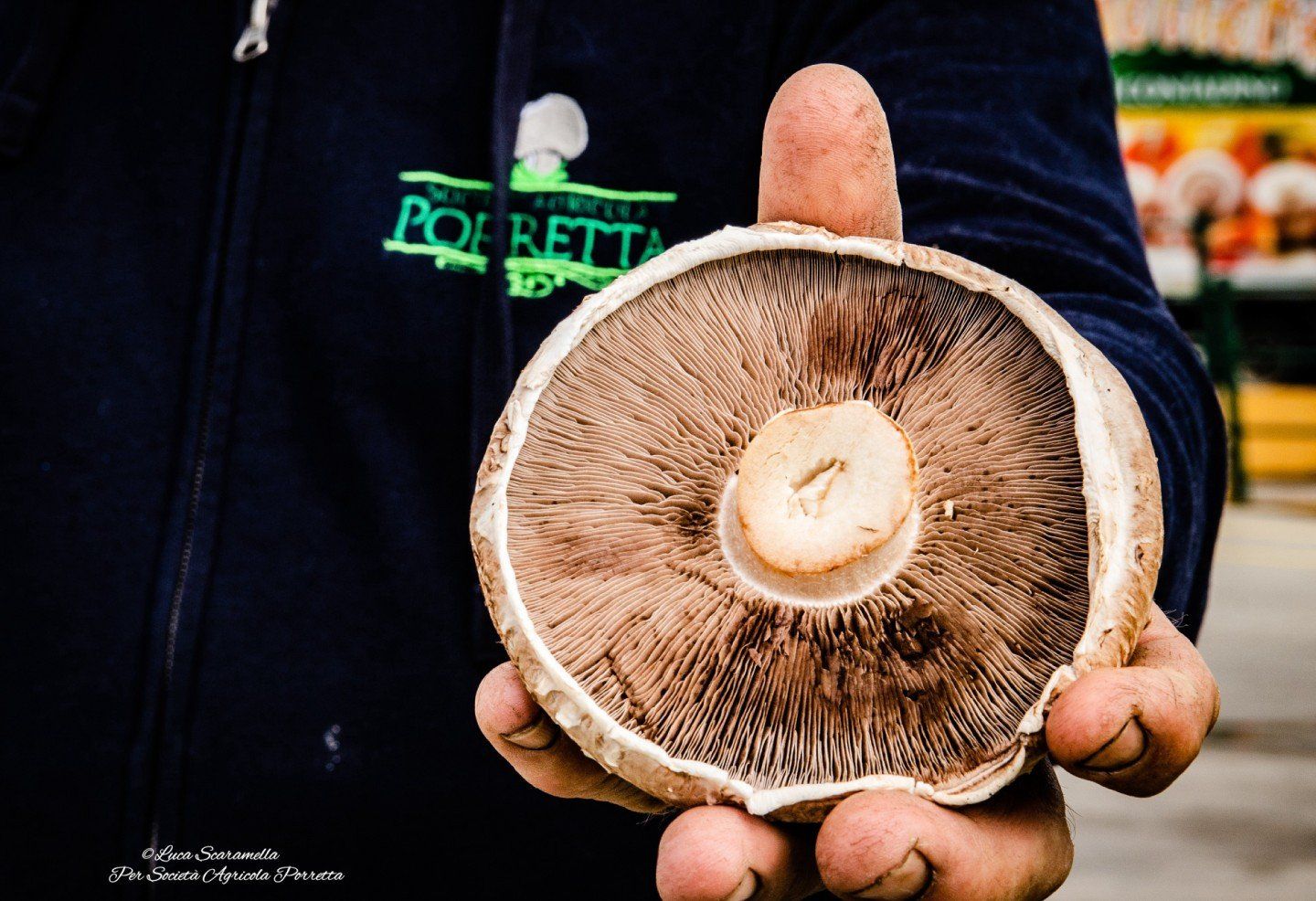 una storia di famiglia