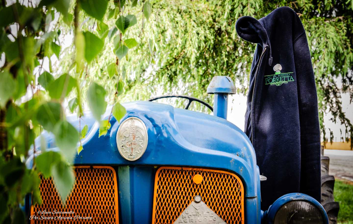 energia e ecosostenibilitÃ