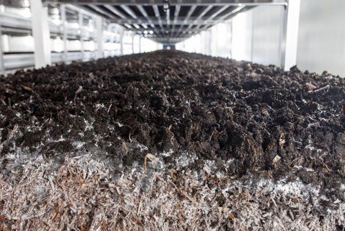 terreno per la coltivazione funghi