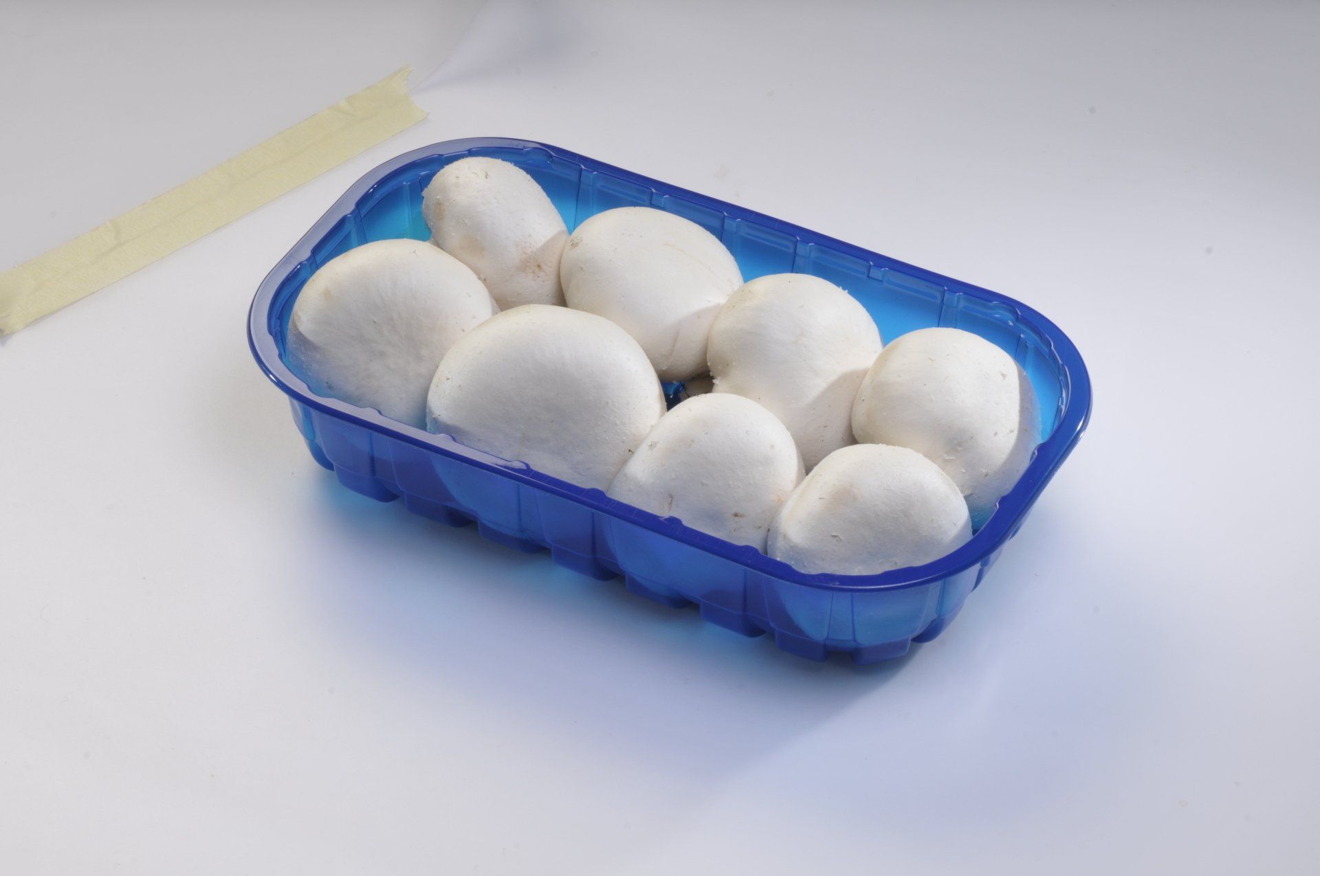 Funghi champignon bianchi in un vassoio di plastica blu su una superficie bianca.