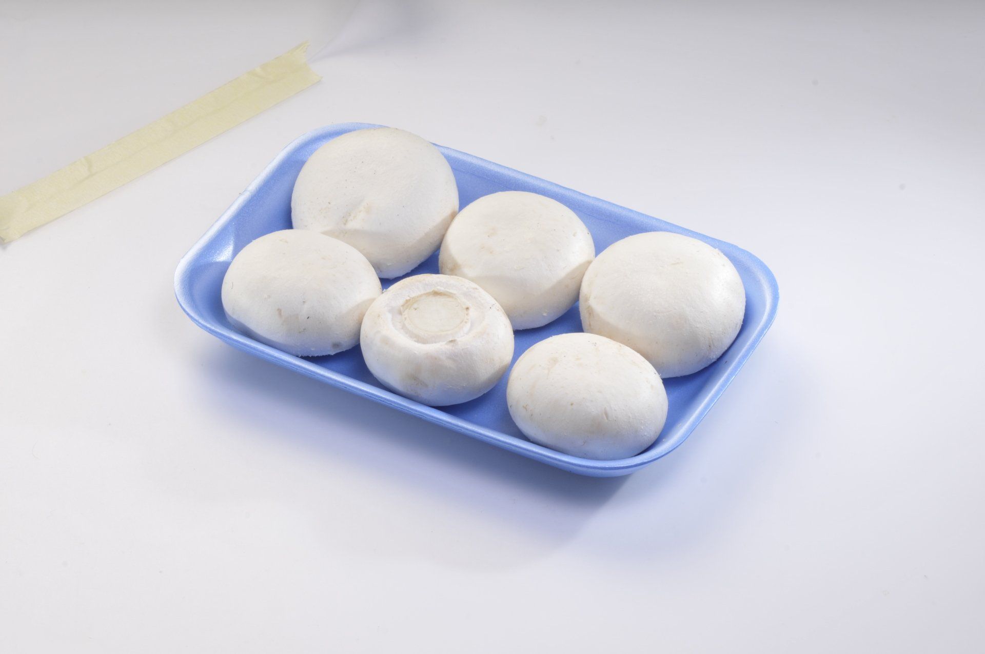 Funghi bianchi su un vassoio di plastica blu, con una confezione sul lato sinistro.