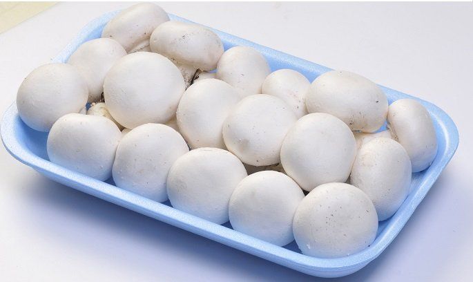 Funghi champignon bianchi in un vassoio di plastica azzurro.