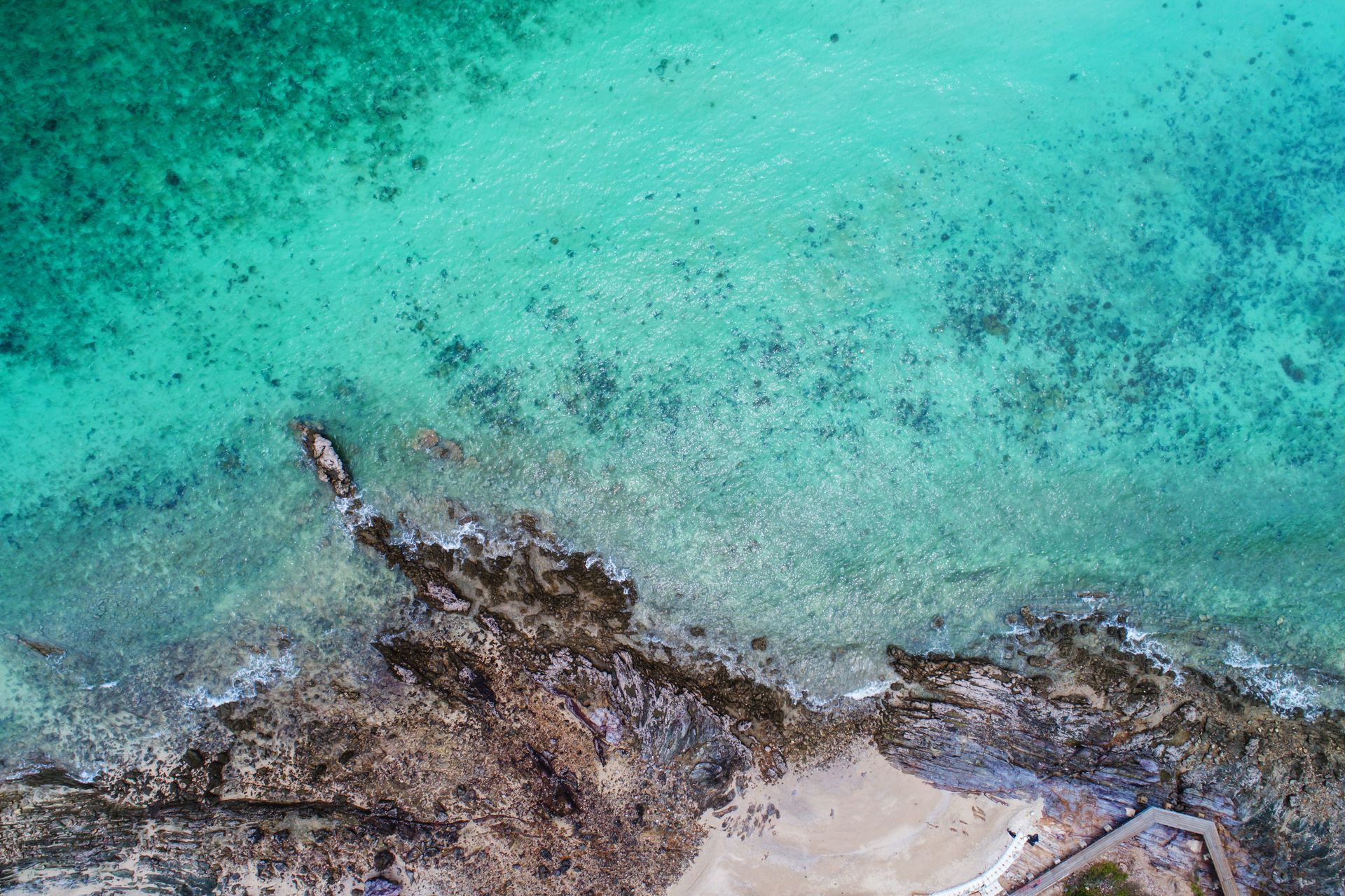 An aerial view of a turquoise ocean with a rocky shoreline.