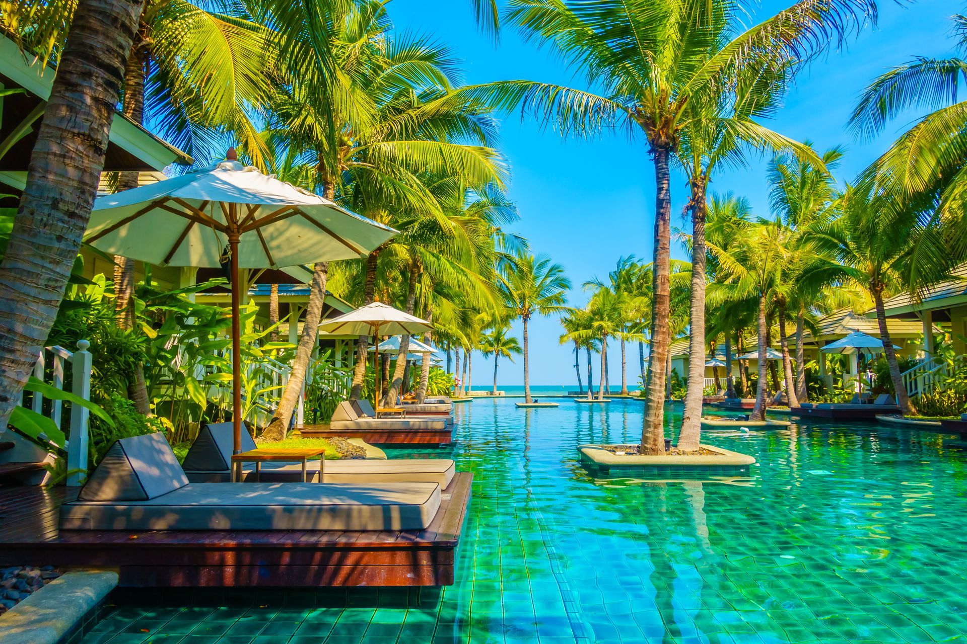A swimming pool surrounded by palm trees and umbrellas in a tropical resort.
