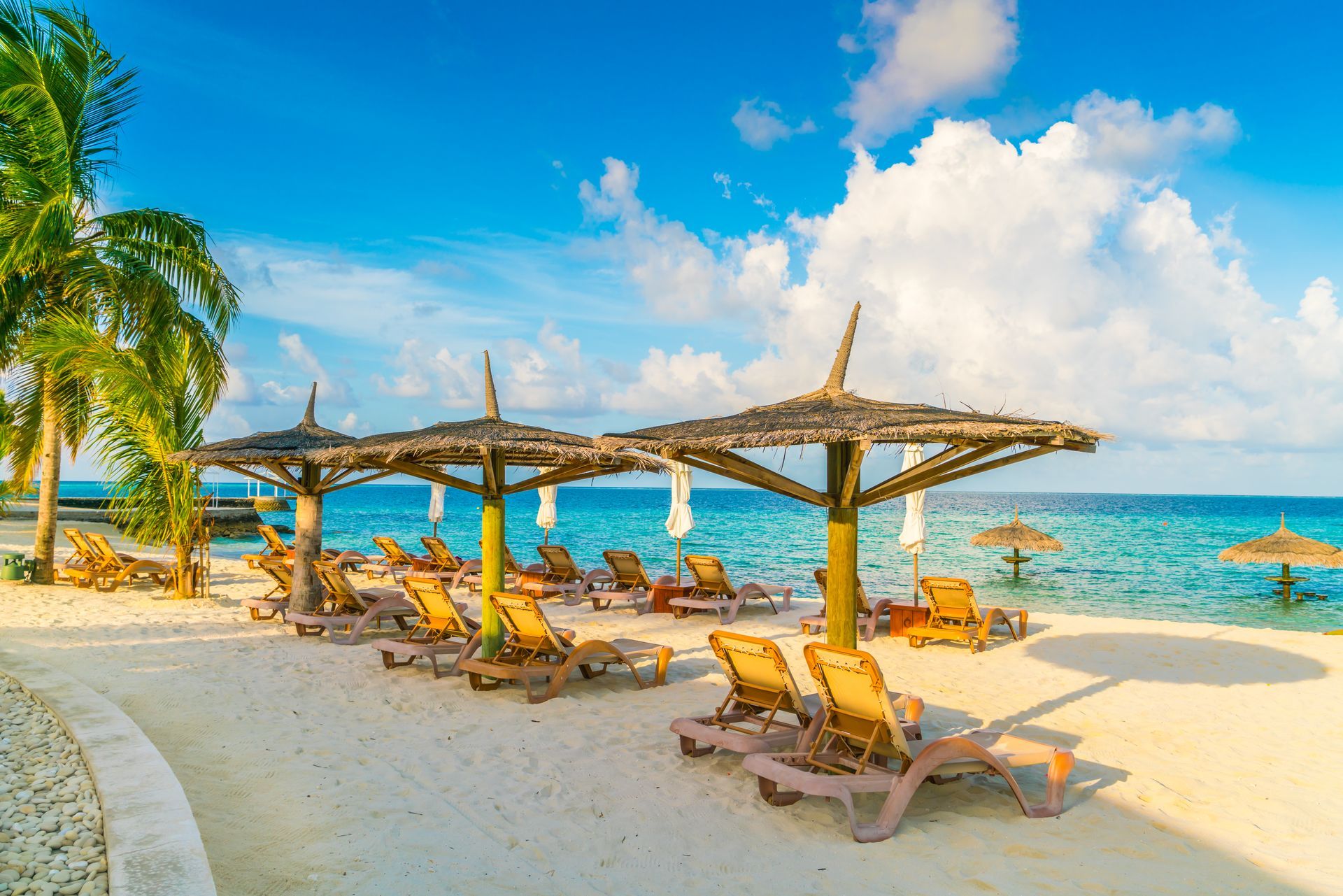 There are many chairs and umbrellas on the beach.
