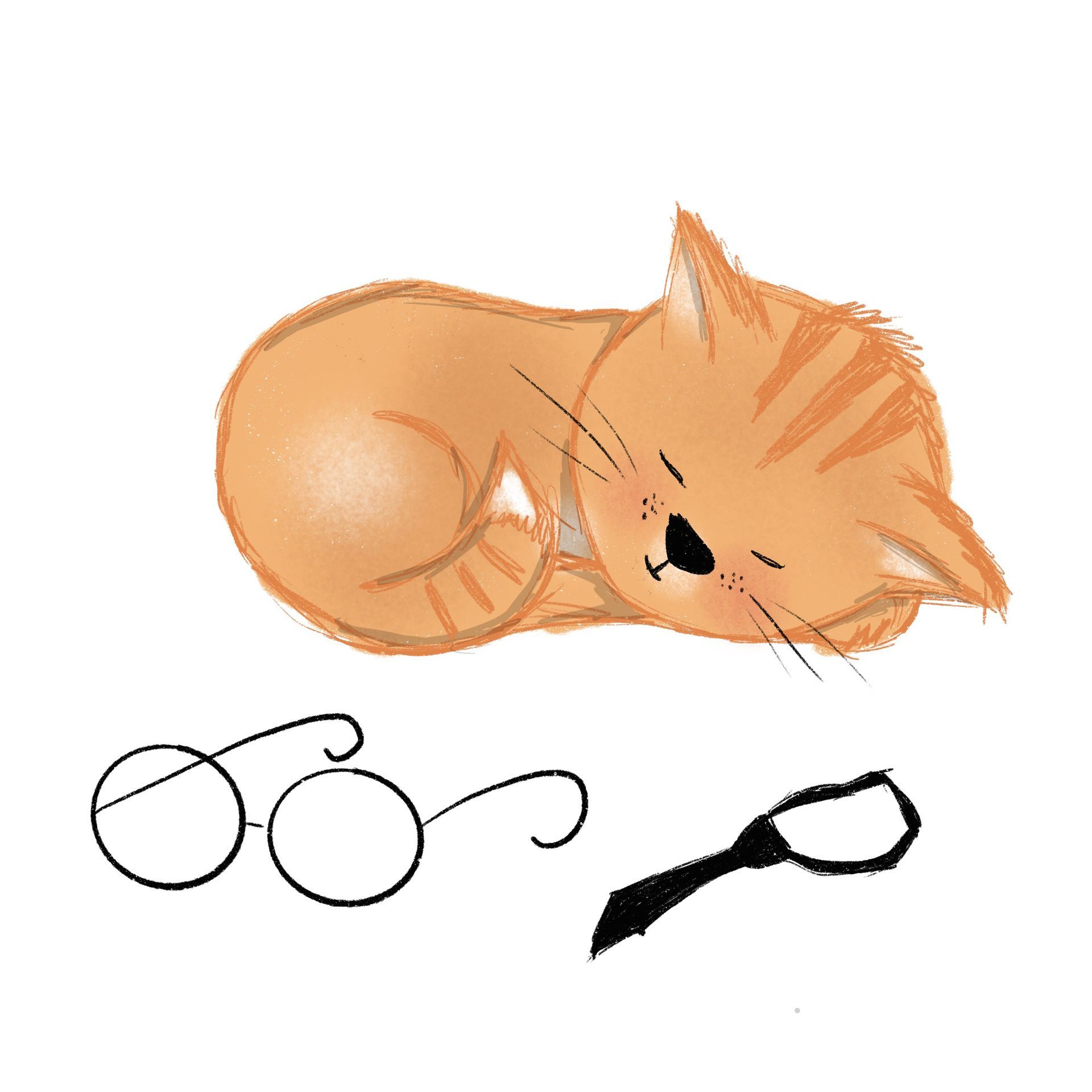 Een slapend oranje gestreept katje rust naast een ronde bril en een zwarte stropdas op een witte achtergrond.