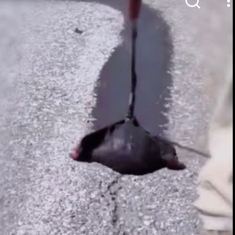 Crack filling asphalt parking lot lines in St. Louis, MO  