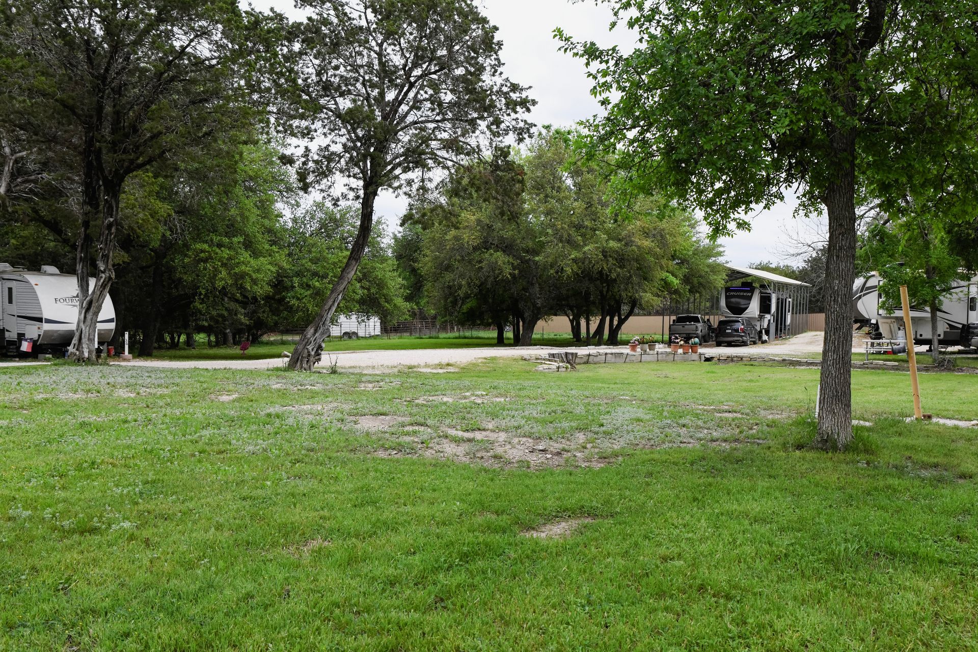 A lush green field with trees and rvs parked in the background.