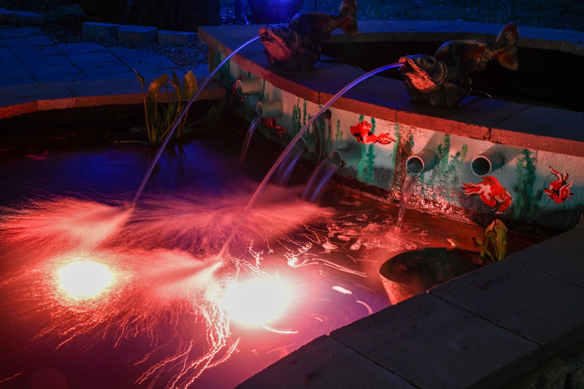 A fountain with a statue of a fish in it is lit up at night.