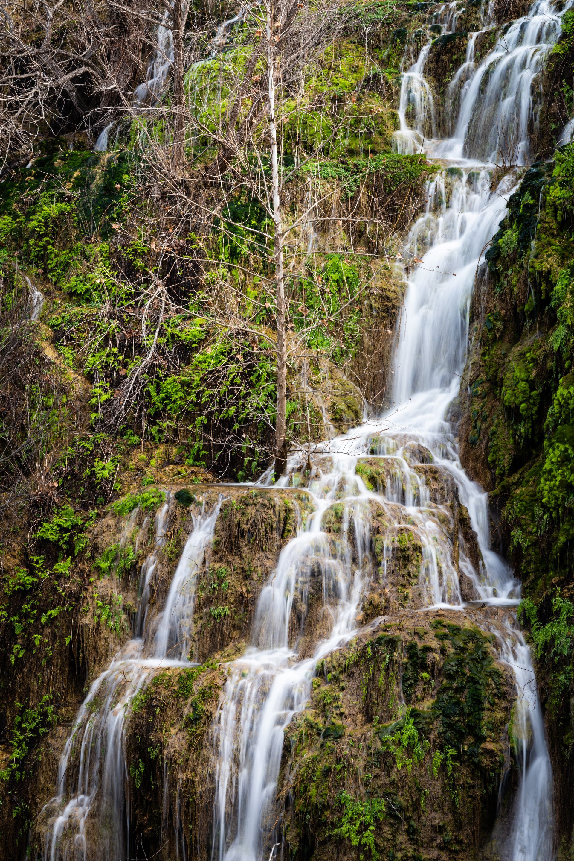 Waterfall cascading down mossy rocks, surrounded by lush greenery.