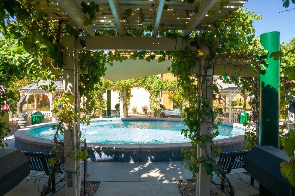 A large swimming pool is surrounded by a pergola and vines.