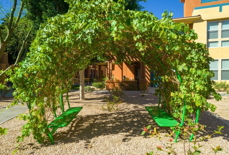 A green bench is under a green archway made of leaves.
