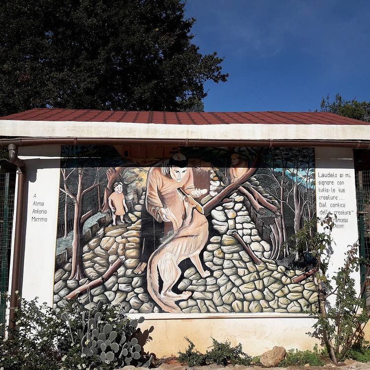 associazione volontari per cani abbandonati