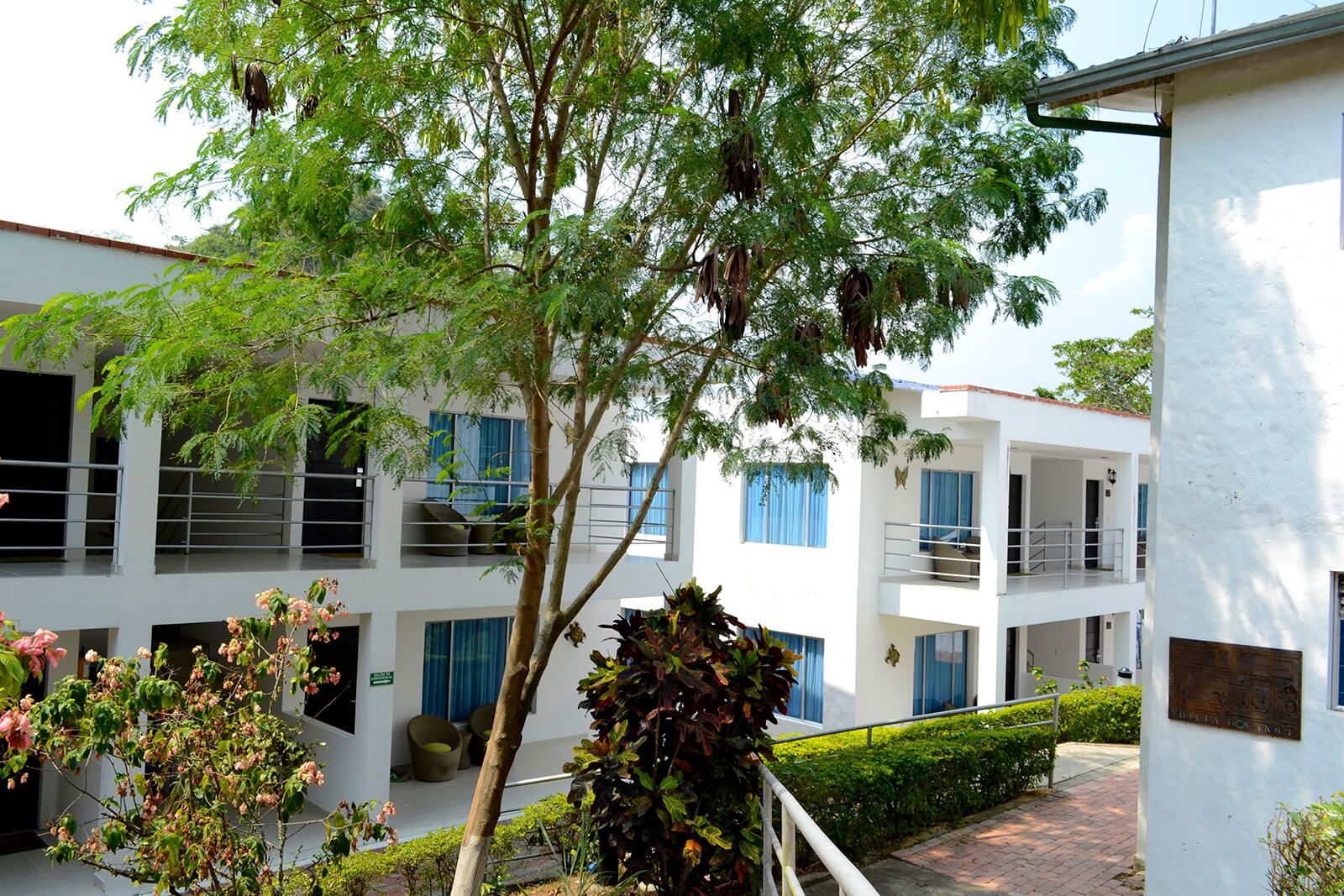 Edificios de apartamentos blancos con balcones detrás de árboles y setos en un patio soleado.