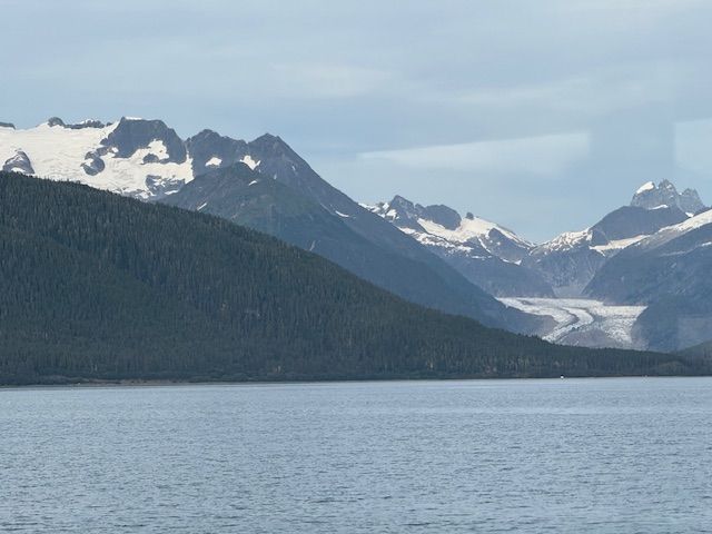 Snow-capped mountains and a glacier meet the sea under a cloudy sky. Evergreen forests frame the view.