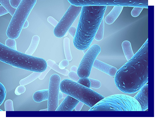 A computer generated image of bacteria on a blue background.