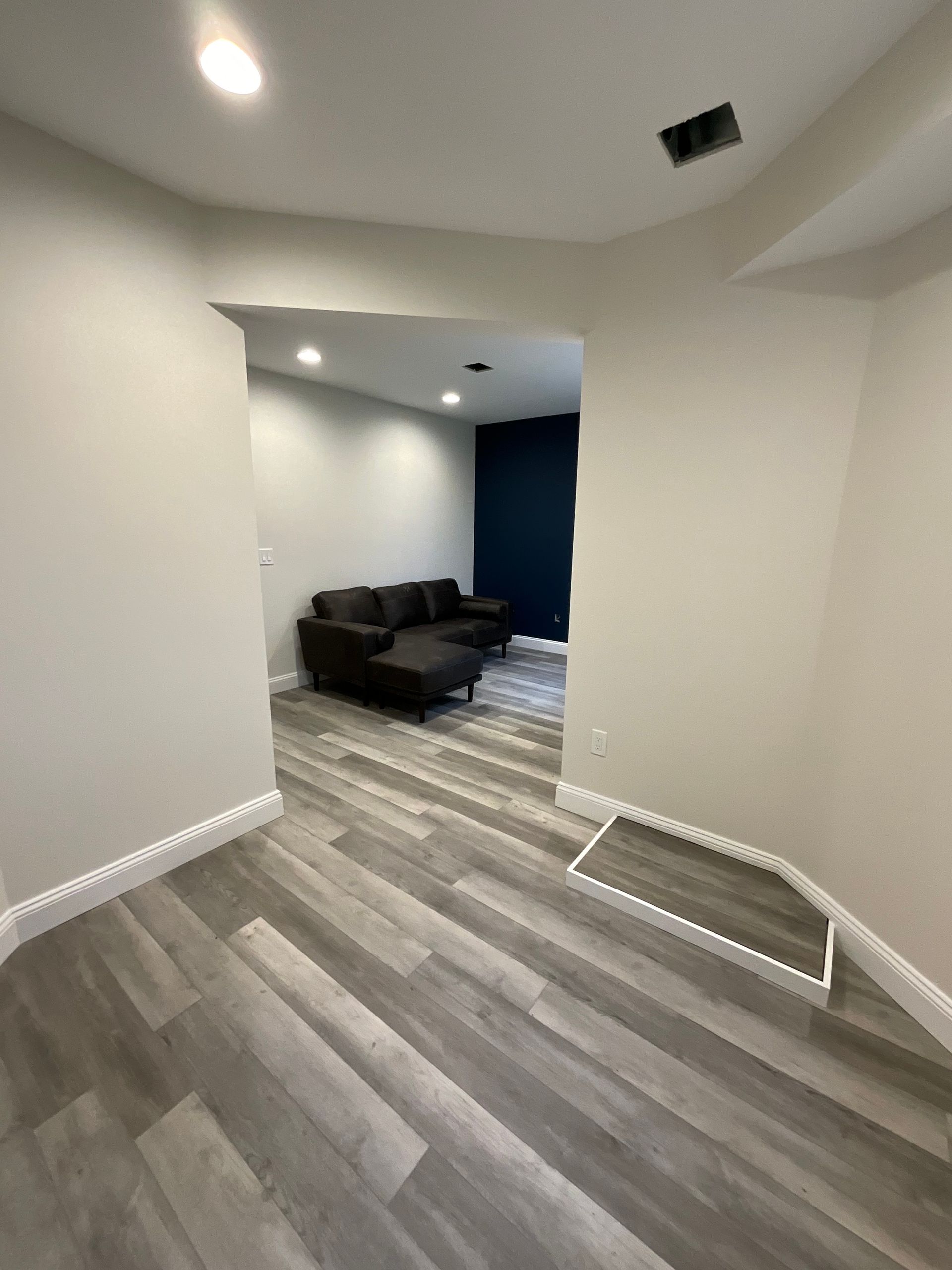 A living room with hardwood floors and a couch.