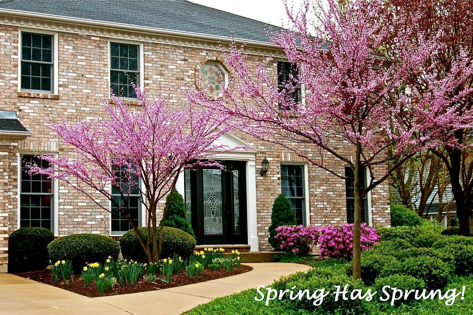 A brick house with pink flowers and the words spring has sprung