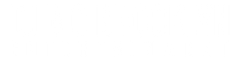 DJ MC Brooklyn Entertainment