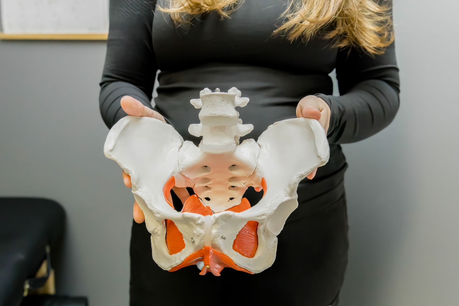 Pelvic anatomy education at 4:8 Physio