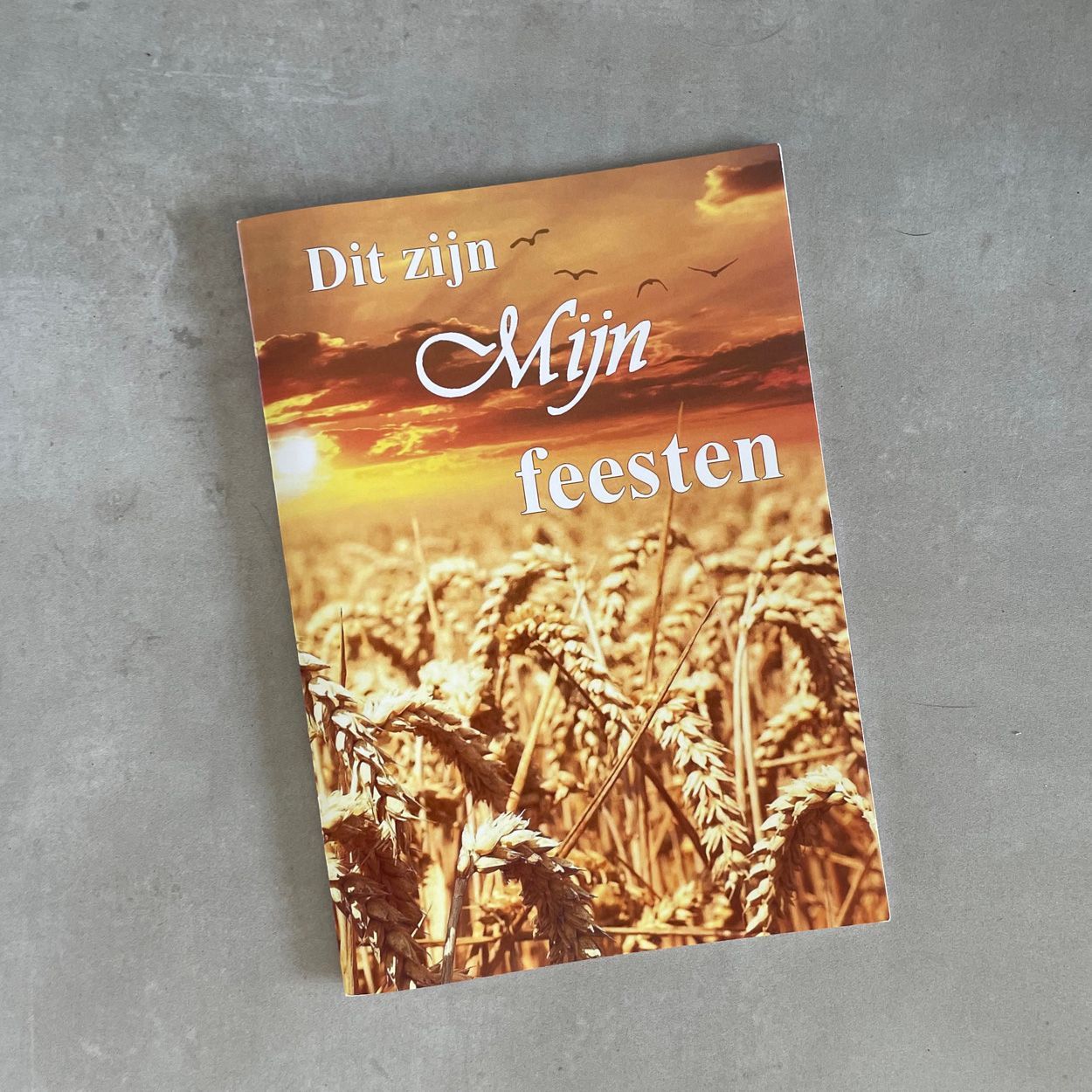 Tov Idee, Shabbat, Christelijke kaarten, messiaanse kaarten, kaartje, bijbelteksten, gift, christelijke gift, moedim, God, Yeshua, Hashem, Bijbelse feesten, Woord, Bijbel, wet