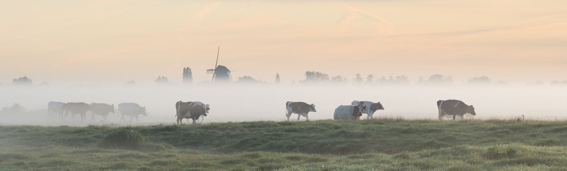 Blog, Paulieke, Tov Idee, Christelijke kaarten, christelijk, geloven, hoop, vertrouwen, Messiaans