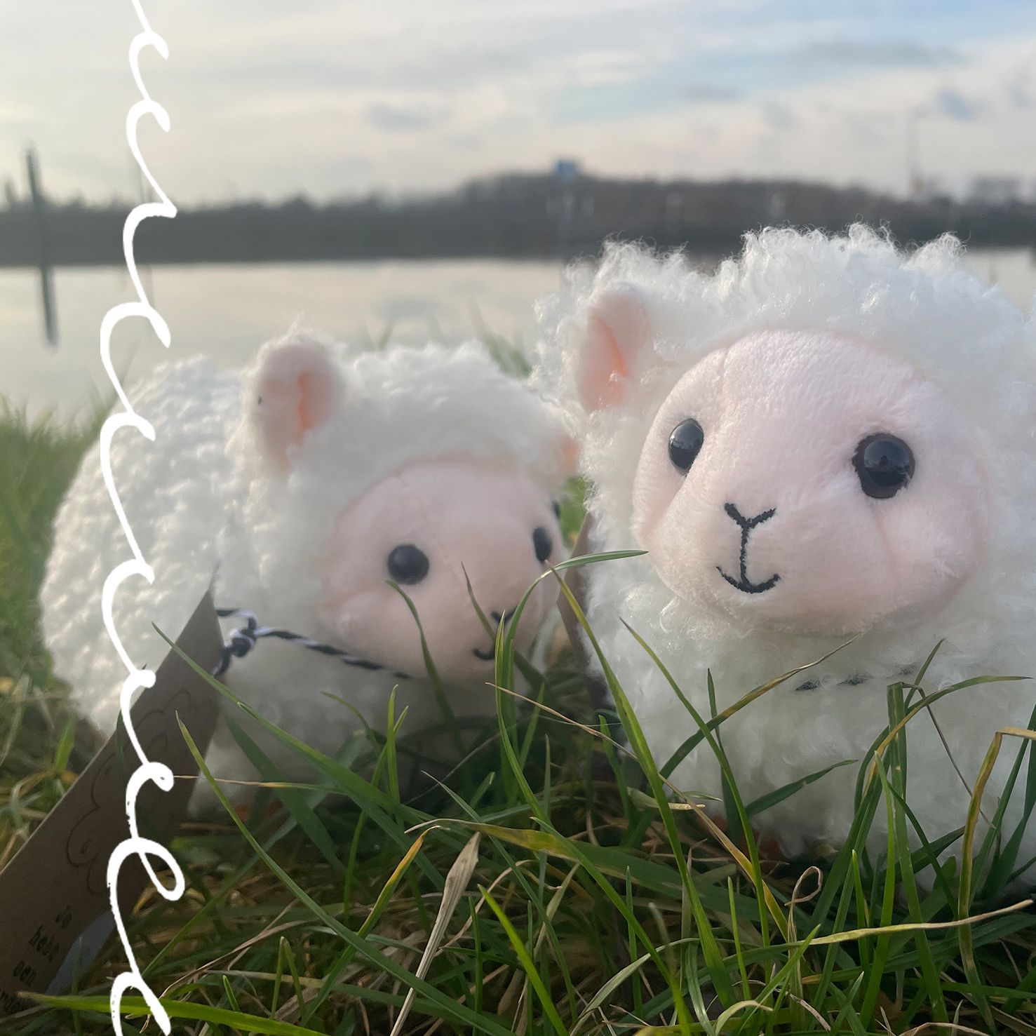 Kaarten, kaarten Tov Idee, kaartjes, Tov Idee, christelijke kaarten, messiaanse kaarten, beterschap, liefde, hebreeuwse kaarten, hebreeuws, bemoediging, kaarten met gift, gifts, knuffels