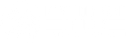 Blank white rectangle with a thin black border at the bottom edge