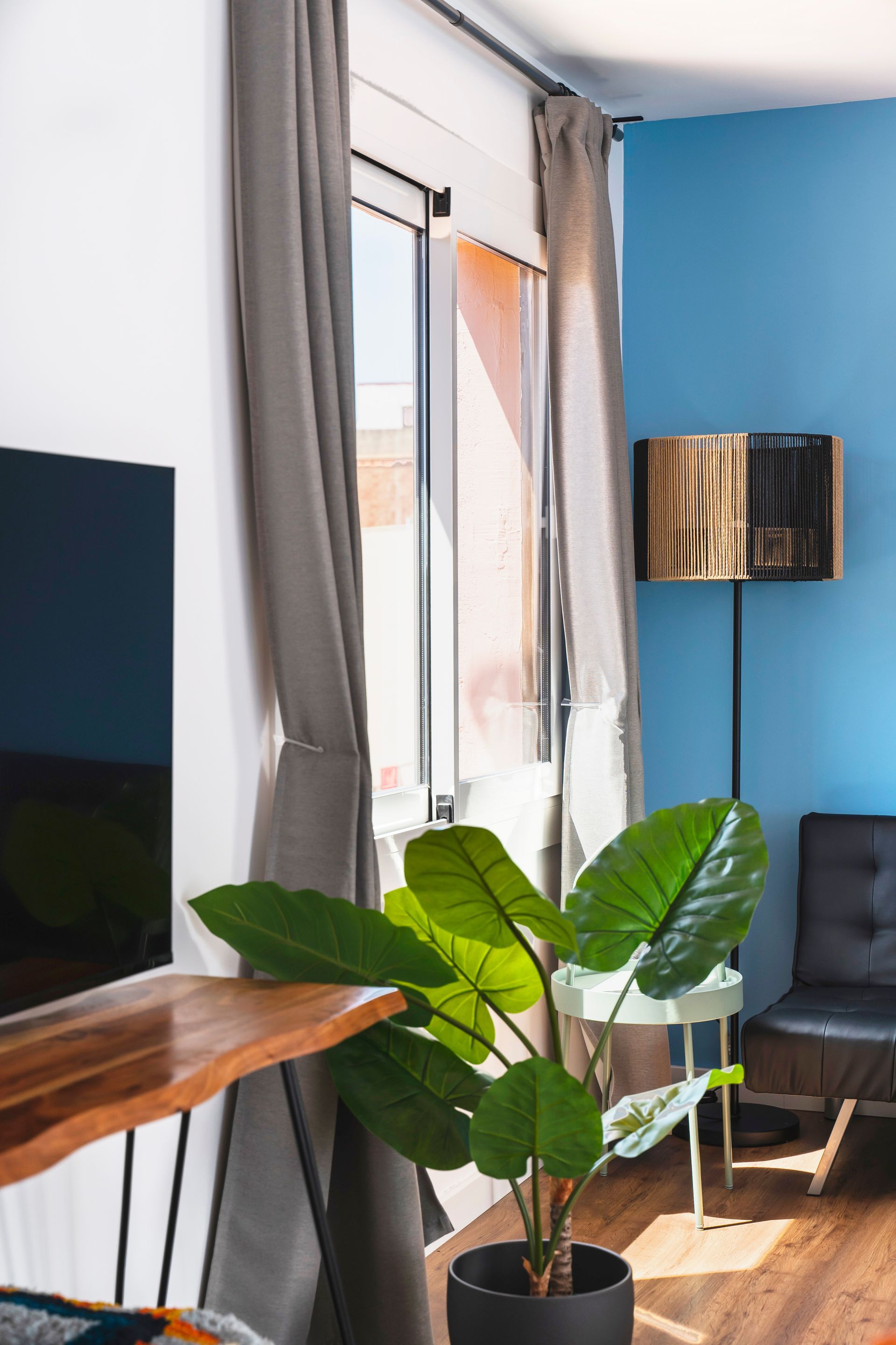 A living room with a potted plant , a television , and a lamp.