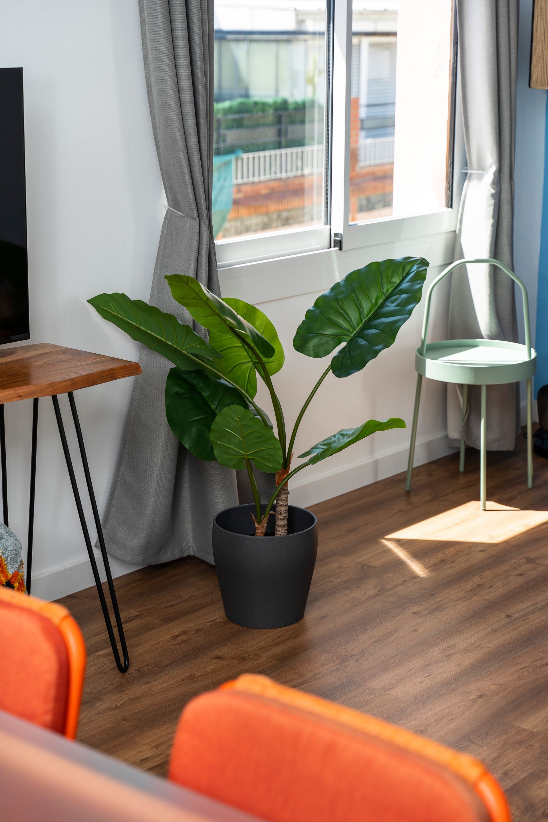 A living room with a potted plant in front of a window.