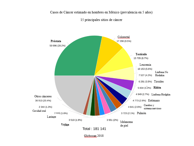 Casos de cáncer estimado en hombres en México -prevalencia en 5 años-