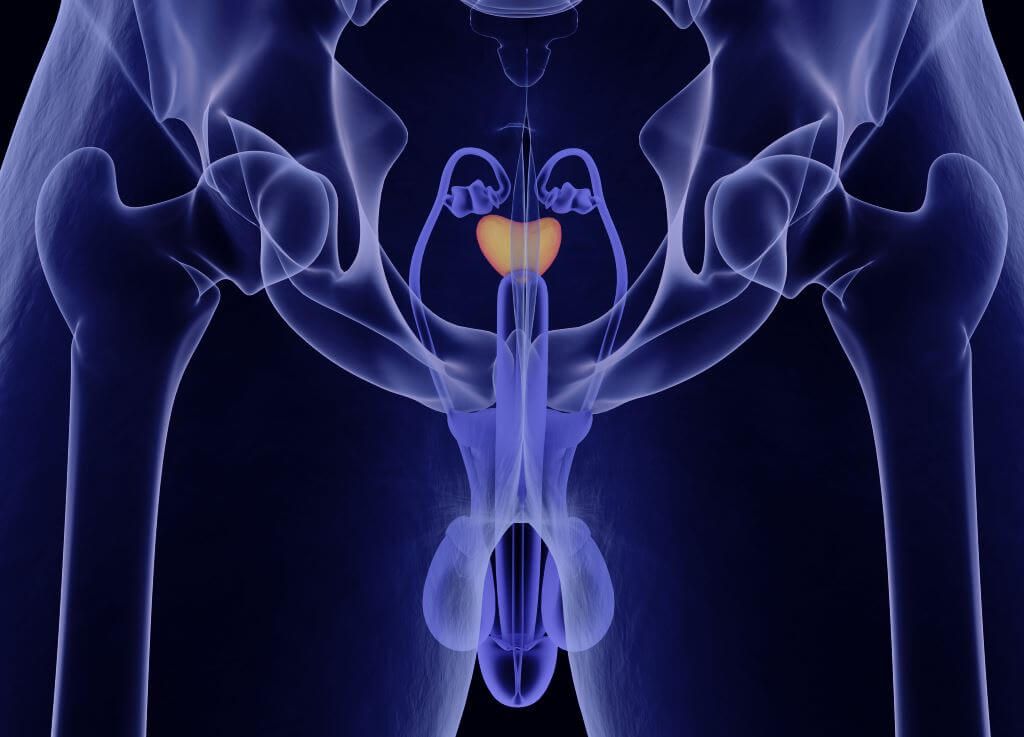 La próstata y el cáncer de próstata