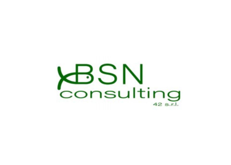 Logo - BSN Consulting