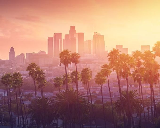 A view of a city skyline at sunset with palm trees in the foreground.
