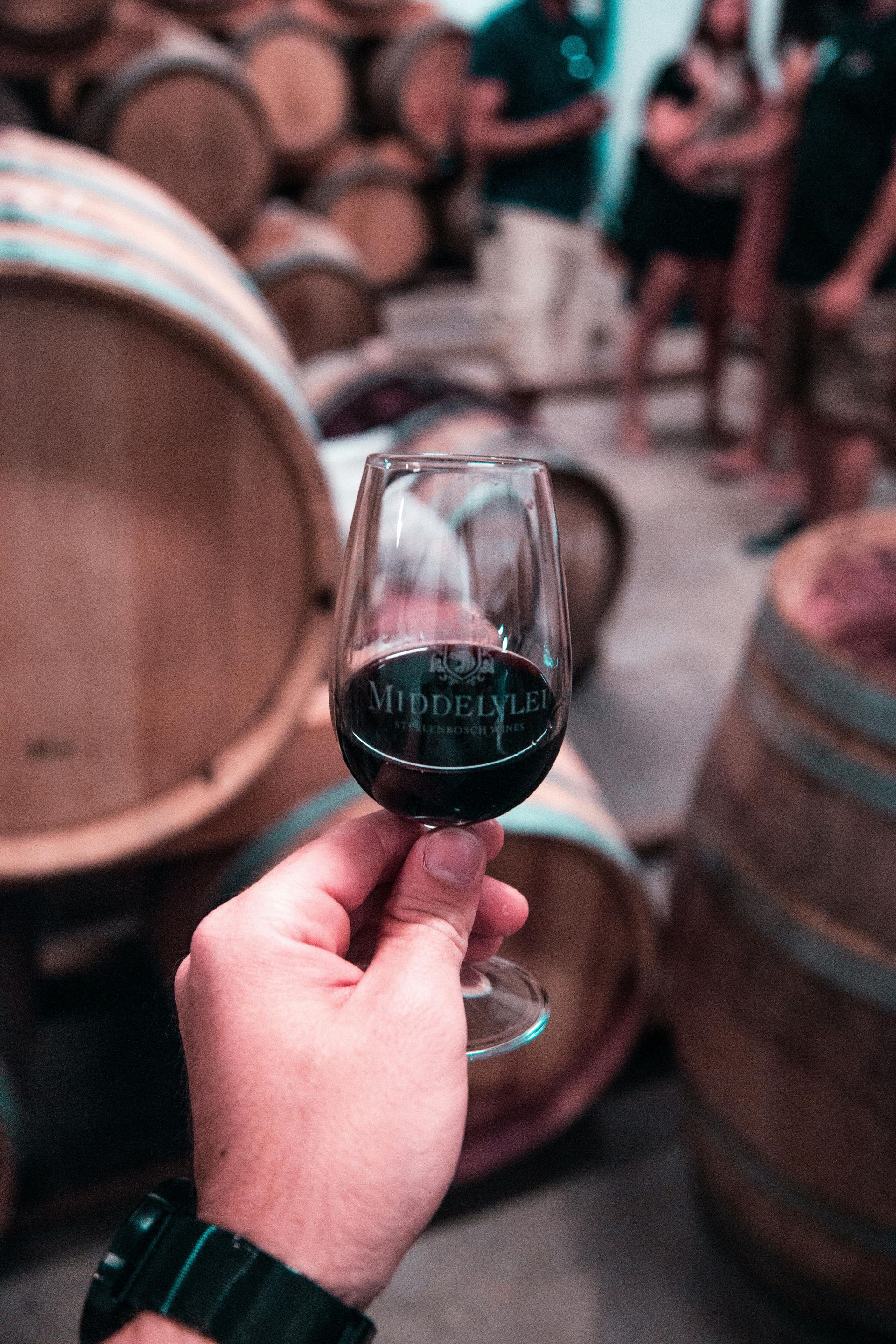 A person is holding a glass of wine in a wine cellar.
